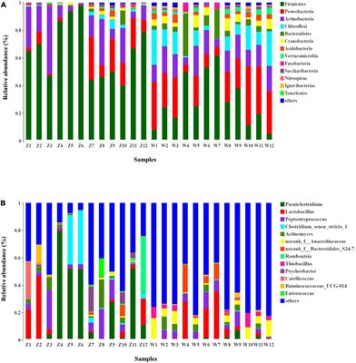 Comparative Analysis of Gut Microbiota in Captive and Wild Oriental White Storks: Implications for Conservation Biology